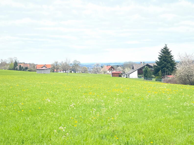 23-04-30 13-43-06 5243